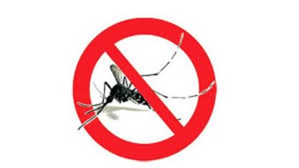 Ordinanza per la prevenzione ed il controllo delle malattie trasmesse da insetti vettori Ordinanza per la prevenzione ed il controllo delle malattie trasmesse da insetti vettori