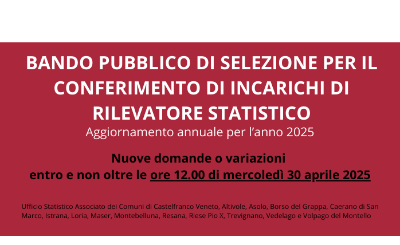 aggiornamento bando rilevatori 25