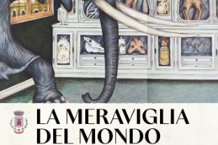 2026-01-12 Mostra meraviglie