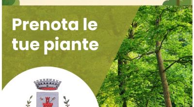 AlberiPianuraVeneta_1